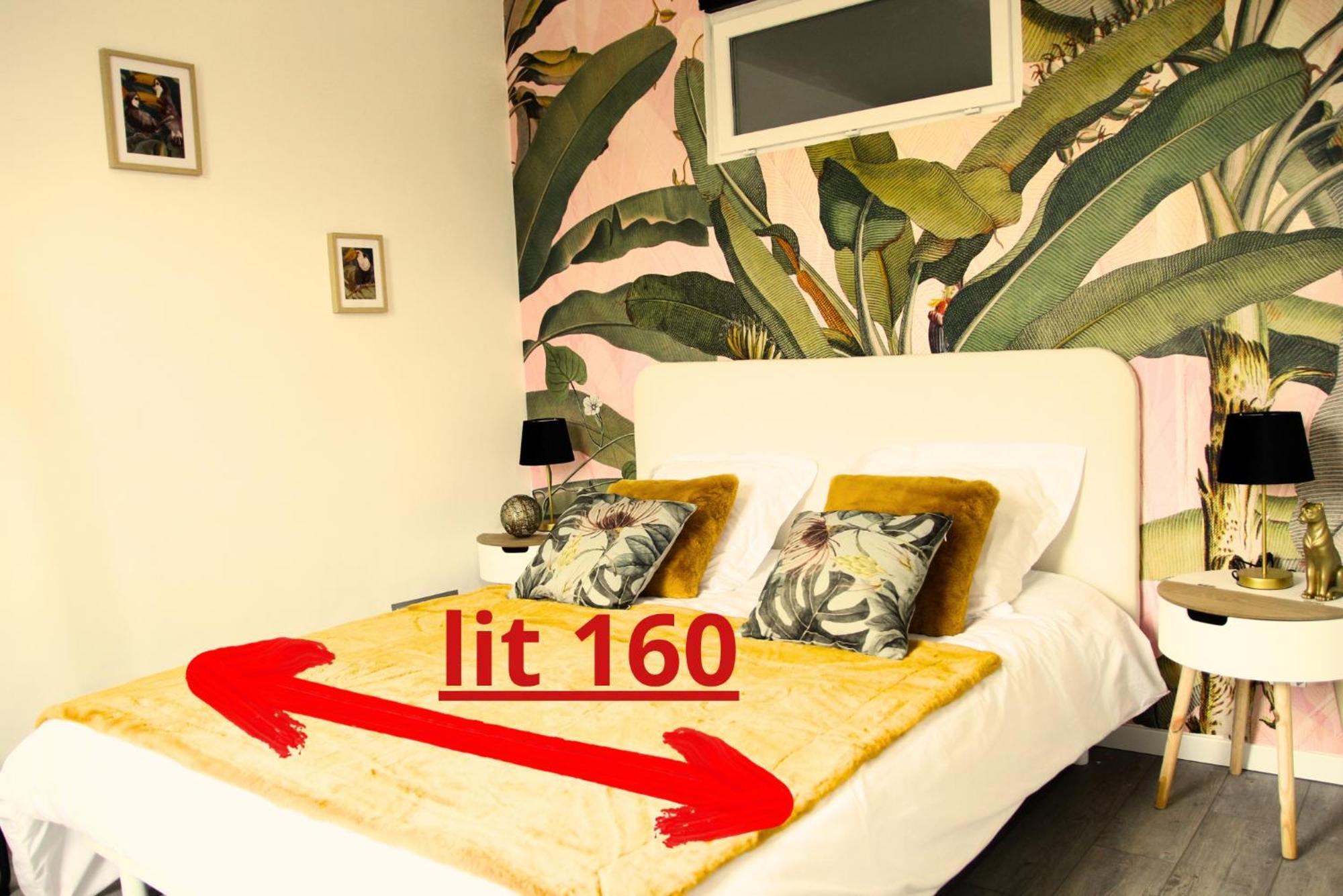 Nature Apartment Cosne-sur-Loire